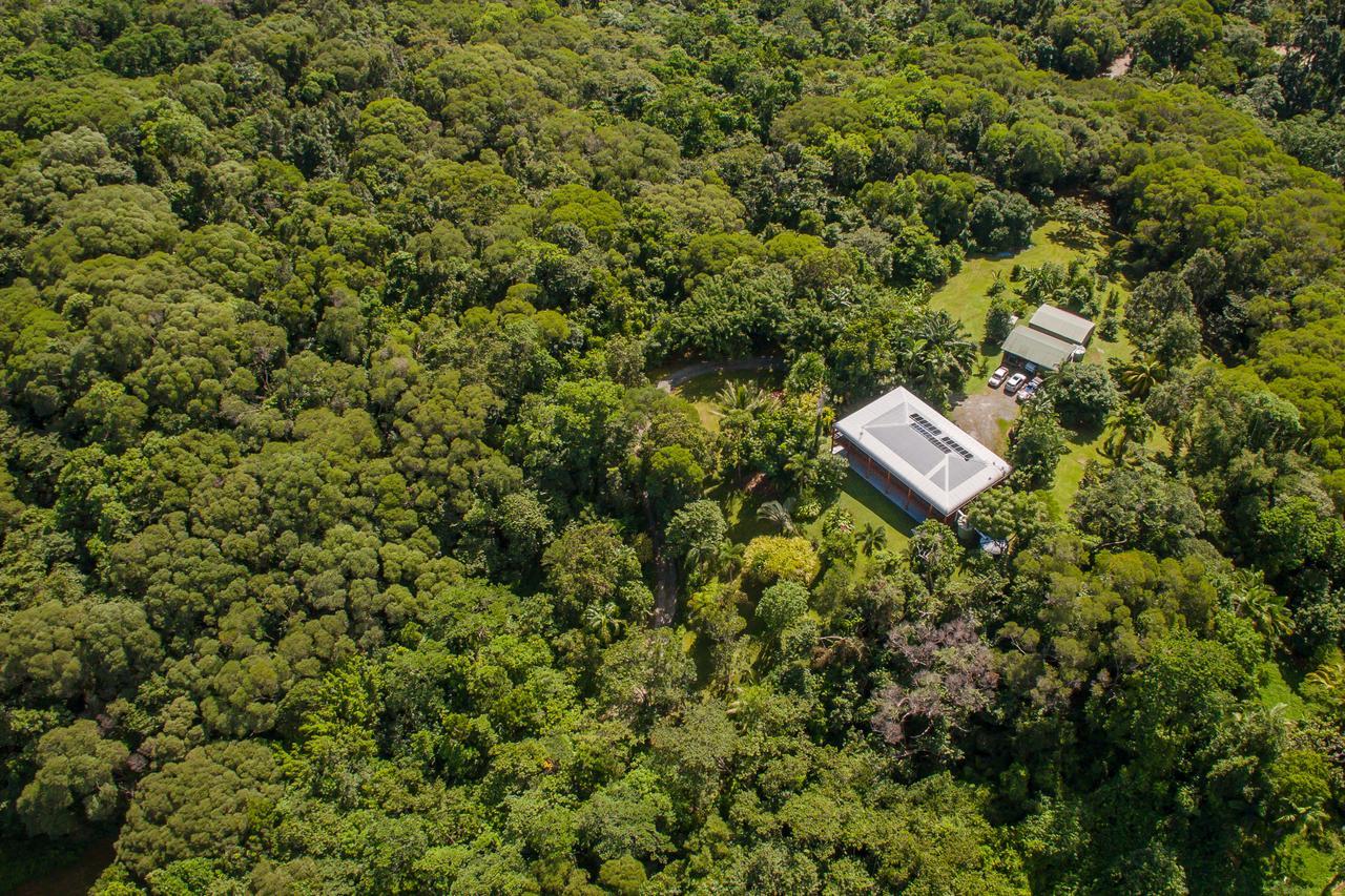 Daintree Manor B&B Exterior foto