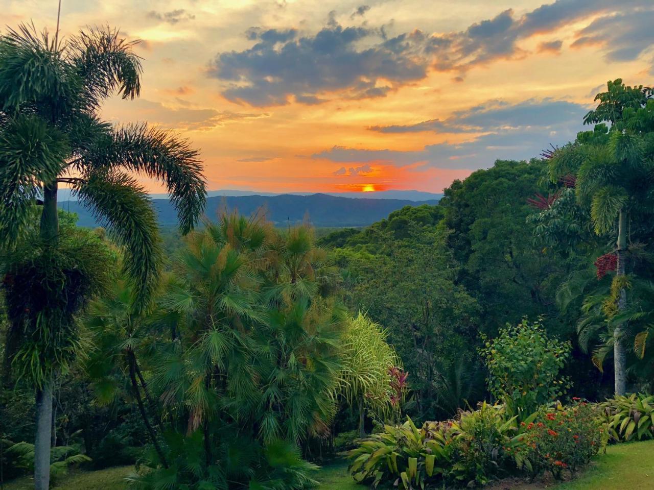 Daintree Manor B&B Exterior foto