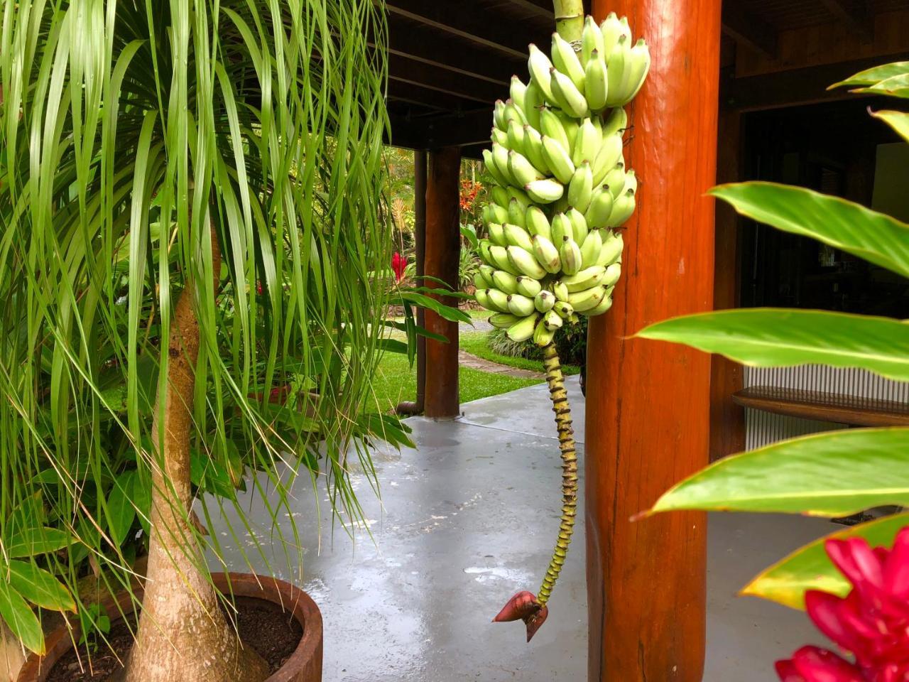 Daintree Manor B&B Exterior foto