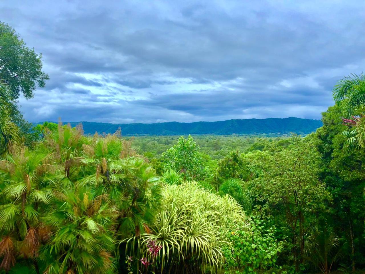 Daintree Manor B&B Exterior foto